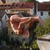 krka_zivi_66.jpg