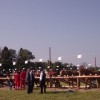 konji__041.jpg