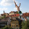 krka_zivi_06.jpg