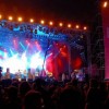 vstopnice: Exit 2011 