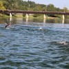 img_8356.jpg
