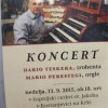 koncert__1_.jpg