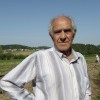 pobiranje_krompirja_001.jpg