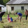 pobiranje_krompirja_003.jpg