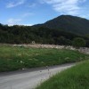 Ceroz odlagališče.jpg