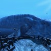 htc vive.jpg