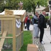 praznik014.jpg
