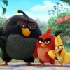 angrybirds.jpg