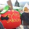 s_kozjansko_jabolko7.jpg