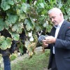 img_1994_trgatev_kostanjevica__21_.jpg