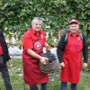 img_1994_trgatev_kostanjevica__39_.jpg