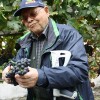 img_1994_trgatev_kostanjevica__20_.jpg