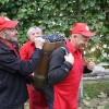 img_1994_trgatev_kostanjevica__38_.jpg