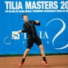 tilia_18.jpg