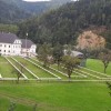 šank visoko