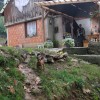 brezje_zabjak_22.jpg