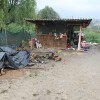 brezje_zabjak_18.jpg