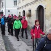 steklasova_pot_011.jpg
