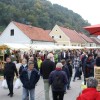 img_2393_praznik_kozjanskega_jabolka__118_.jpg