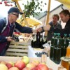 img_2393_praznik_kozjanskega_jabolka__81_.jpg