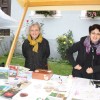 img_2393_praznik_kozjanskega_jabolka__60_.jpg