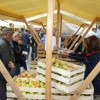 img_2393_praznik_kozjanskega_jabolka__59_.jpg