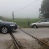 pijavice.jpg