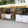 img_2393_praznik_kozjanskega_jabolka__85_.jpg