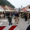 img_2393_praznik_kozjanskega_jabolka__115_.jpg