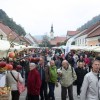 img_2393_praznik_kozjanskega_jabolka__119_.jpg