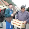 img_2393_praznik_kozjanskega_jabolka__69_.jpg