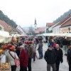 img_2393_praznik_kozjanskega_jabolka__120_.jpg