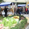 img_2393_praznik_kozjanskega_jabolka__45_.jpg