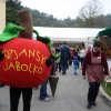 img_2393_praznik_kozjanskega_jabolka__91_.jpg