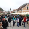 img_2393_praznik_kozjanskega_jabolka__84_.jpg