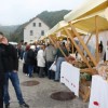 img_2393_praznik_kozjanskega_jabolka__77_.jpg