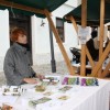 img_2393_praznik_kozjanskega_jabolka__58_.jpg