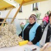 img_2393_praznik_kozjanskega_jabolka__67_.jpg