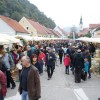 img_2393_praznik_kozjanskega_jabolka__117_.jpg