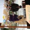 img_2393_praznik_kozjanskega_jabolka__57_.jpg