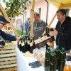 img_2393_praznik_kozjanskega_jabolka__80_.jpg