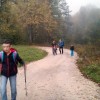 mo_kostanjev_piknik_2015_06.jpg
