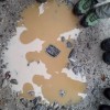 mo_kostanjev_piknik_2015_05.jpg