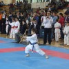 _karate__1_.jpg