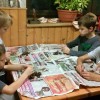 mo_kostanjev_piknik_2015_13.jpg