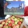 _a_domzale__5_.jpg