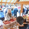 _a_domzale__18_.jpg