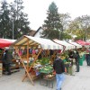 _a_domzale__46_.jpg