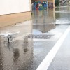 img_2802_kostanjevica_16__10__2015__16_.jpg