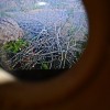 dsc_1087_000.jpg